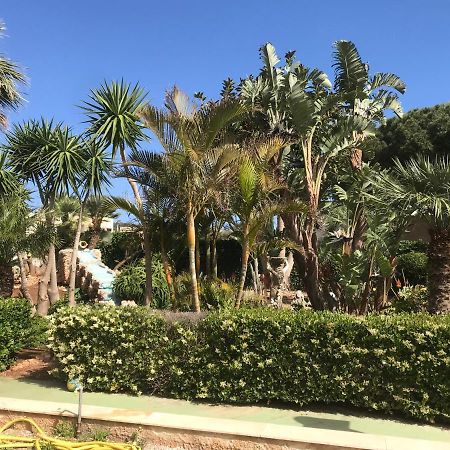 Apartamento Le Palme Tropicali San Vito Lo Capo Exterior foto