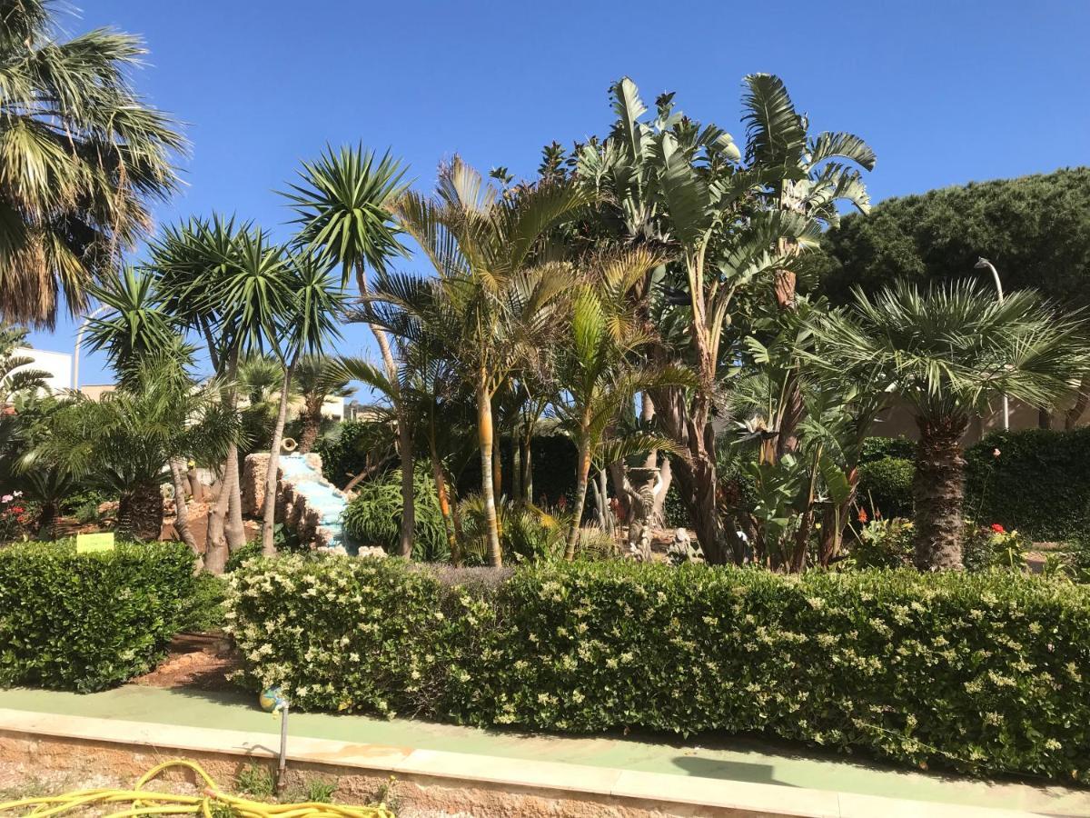 Apartamento Le Palme Tropicali San Vito Lo Capo Exterior foto